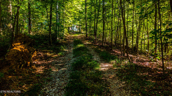 429 King Branch Rd, Sevierville, TN 37876