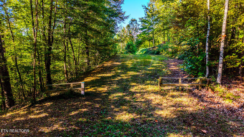 429 King Branch Rd, Sevierville, TN 37876