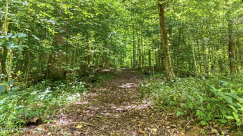 429 Trails End Rd, Walland, TN 37886