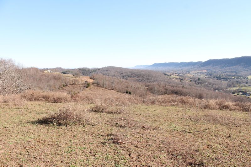 43 Ac Clyde Campbell Rd, Washburn, TN 37888