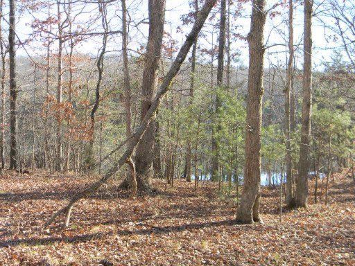43 Madeline Ct, Fairfield Glade, TN 38558