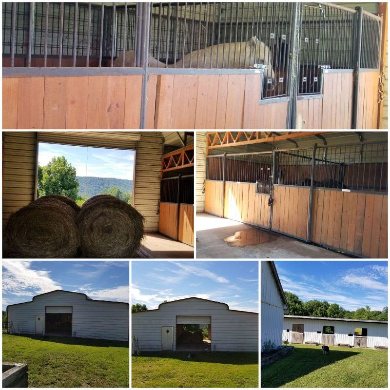 430 Ridge Top Cir, Sunbright, TN 37872