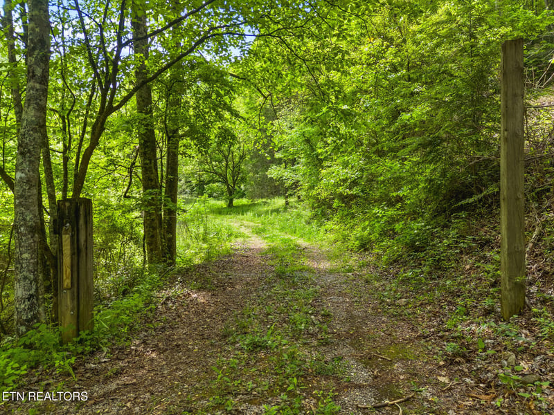 4304 Bruce Ogle Way, Pigeon Forge, TN 37863