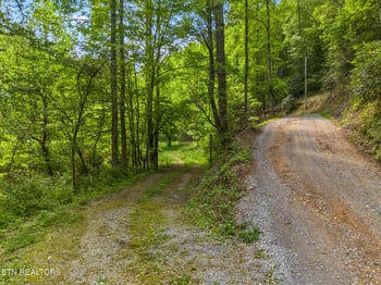 4304 Bruce Ogle Way, Pigeon Forge, TN 37863