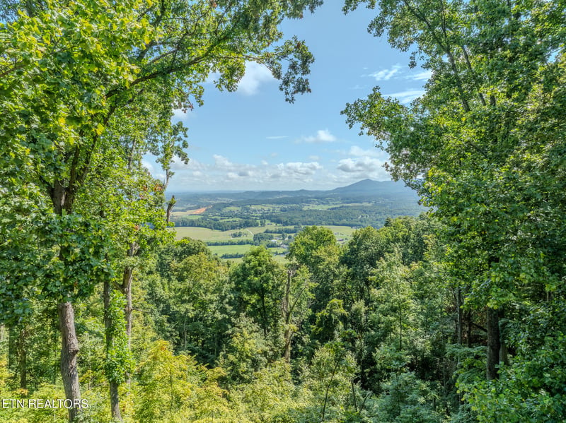 431 Thomas Loop Rd, Sevierville, TN 37876