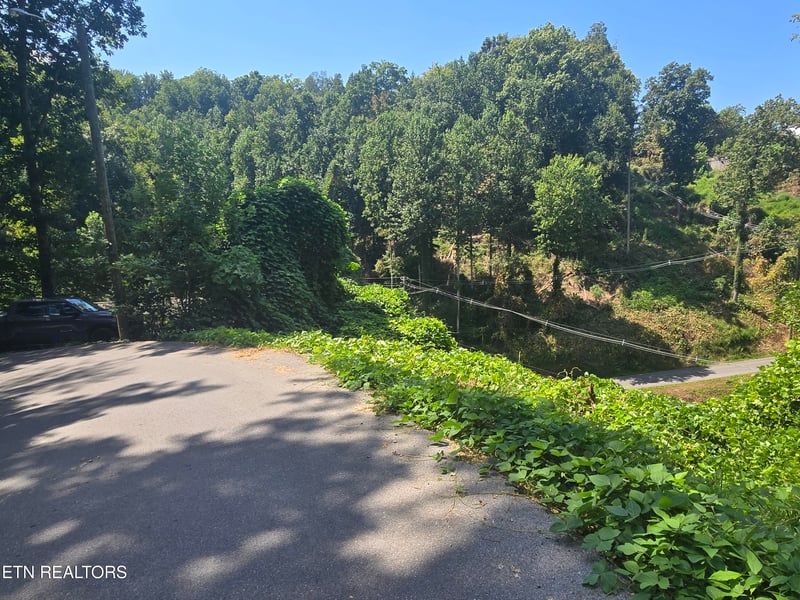 431 W Loop Rd, Gatlinburg, TN 37738
