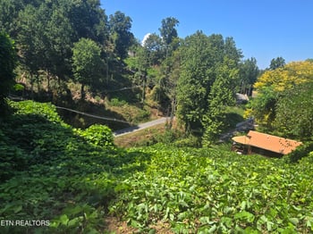 431 W Loop Rd, Gatlinburg, TN 37738