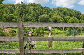 4311 Grindstone Ridge Rd, Pigeon Forge, TN 37863
