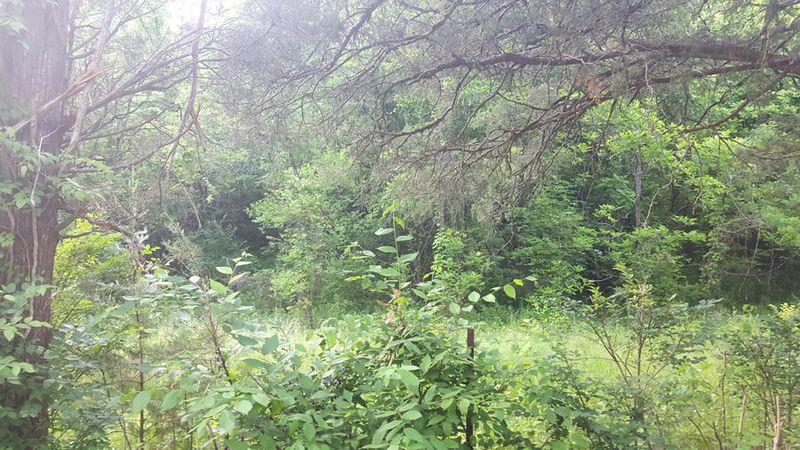 4315 Pleasant Gap Dr, Powell, TN 37849