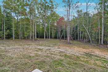 432 Pilot Mountain Rd, Lancing, TN 37770
