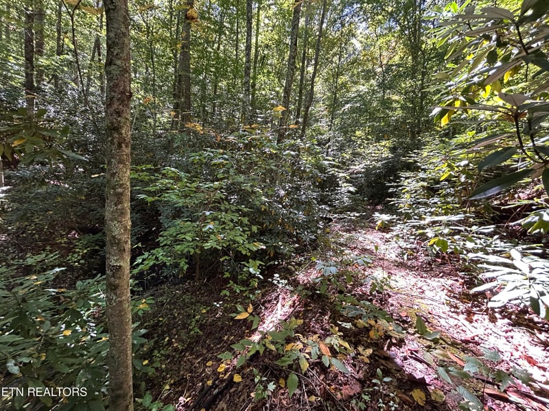 433 Steve Brown Rd, Bean Station, TN 37708