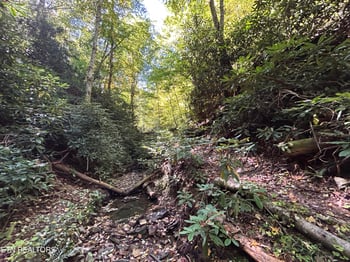 433 Steve Brown Rd, Bean Station, TN 37708