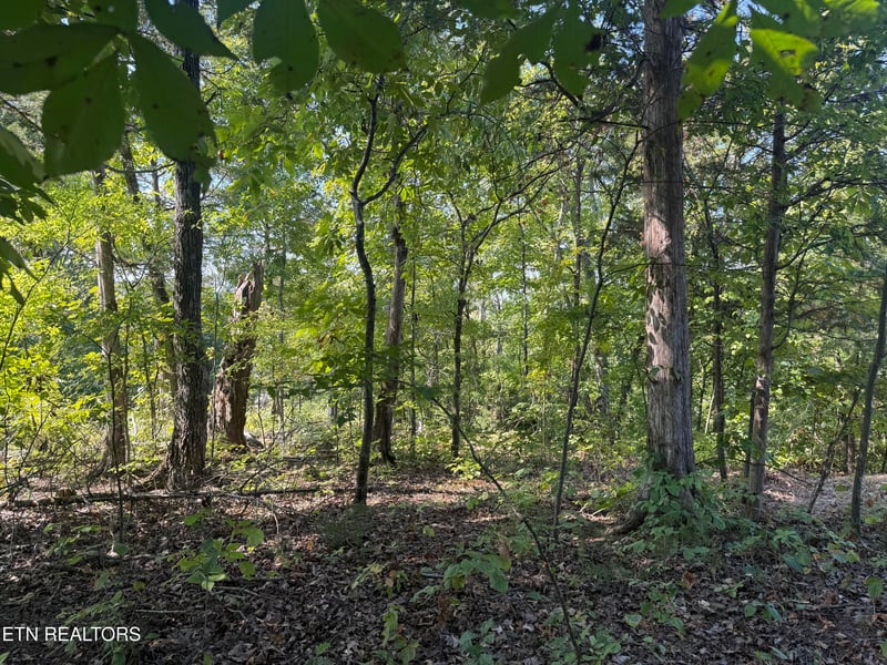434 Igoti Ln, Loudon, TN 37774