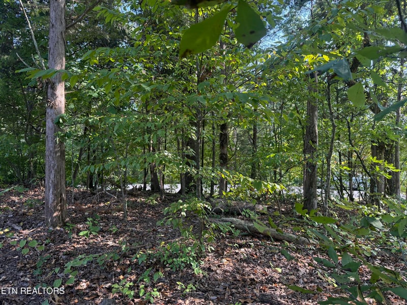 434 Igoti Ln, Loudon, TN 37774