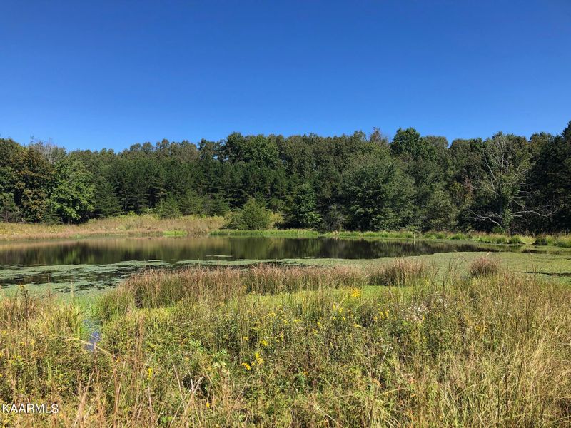 435 ACRES Anthony Rd, Sunbright, TN 37872