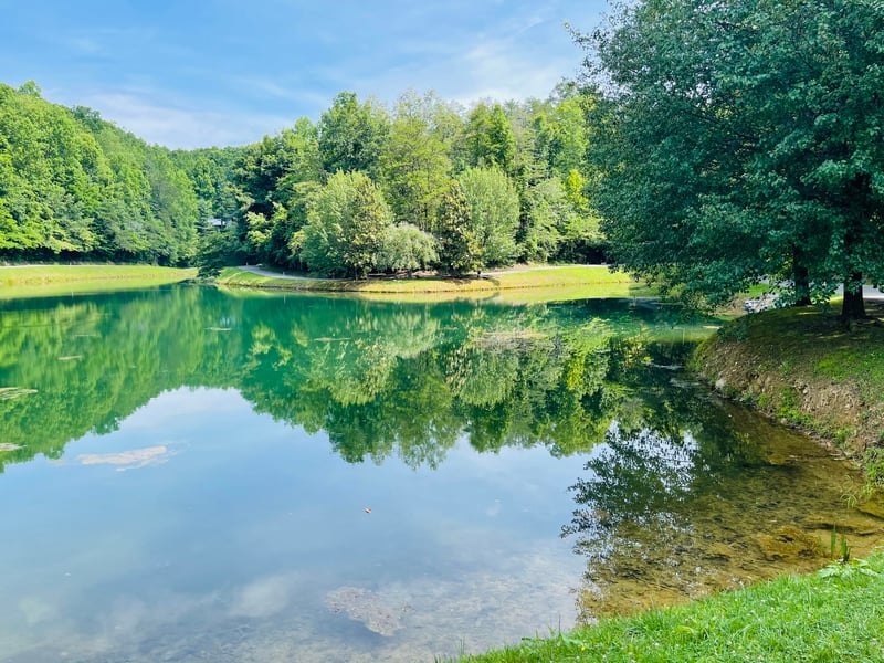 435 Hemlock Ln, Pigeon Forge, TN 37876