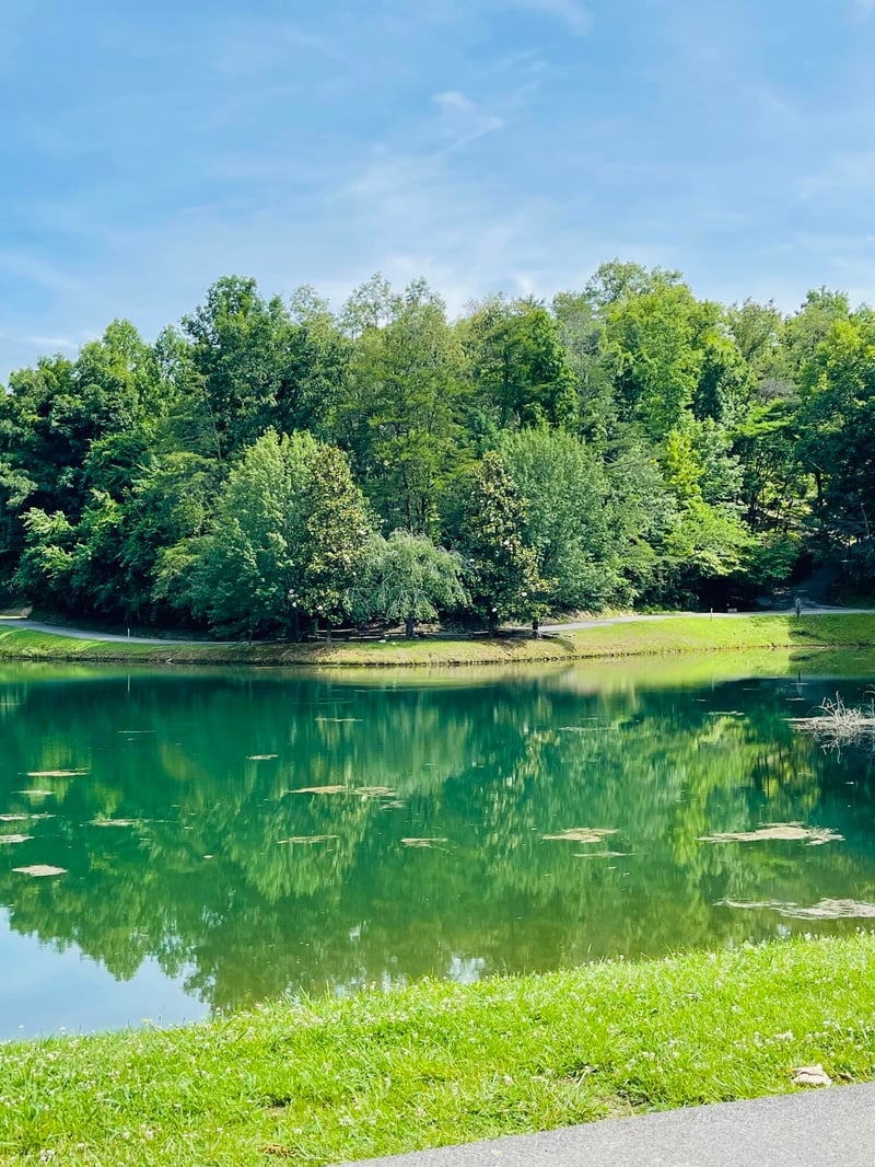 435 Hemlock Ln, Pigeon Forge, TN 37876