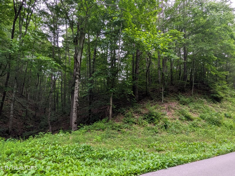 438 Kurt's Corner Rd, Townsend, TN 37882