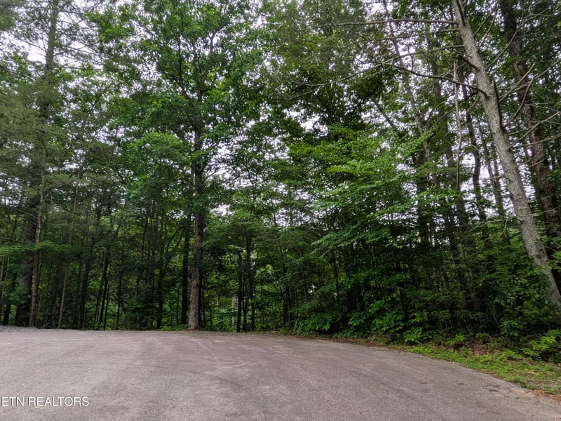 438 Kurt's Corner Rd, Townsend, TN 37882