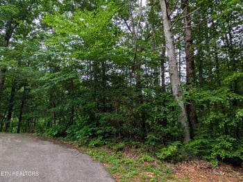 438 Kurt's Corner Rd, Townsend, TN 37882