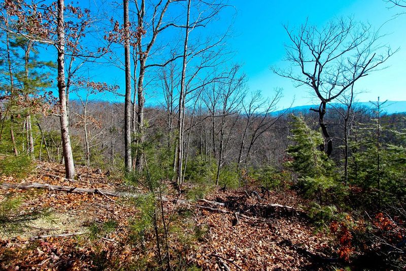 4401 Wilhite Rd, Sevierville, TN 37876