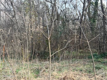 4410 Cave Mill Rd, Maryville, TN 37804