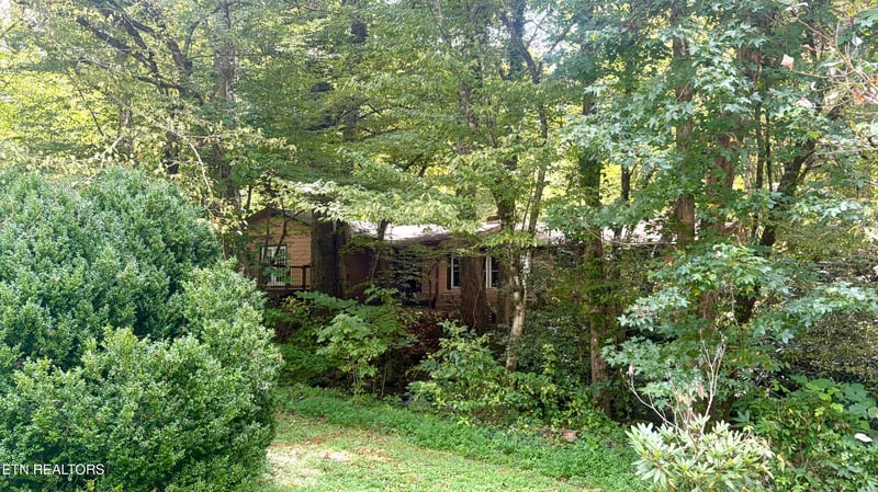 4413 E Scenic Dr, Gatlinburg, TN 37738