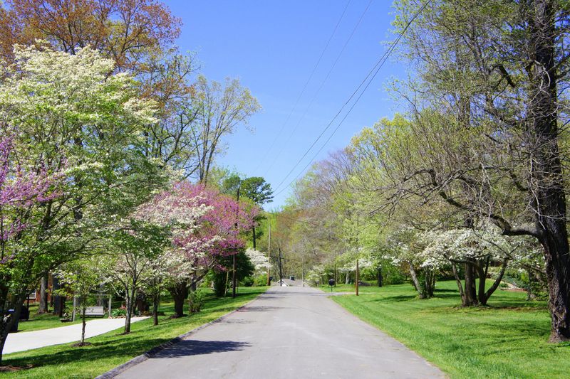 4416 Thorpe Rd, Knoxville, TN 37920