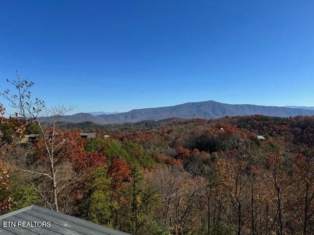 4420 Stackstone Rd, Sevierville, TN 37862