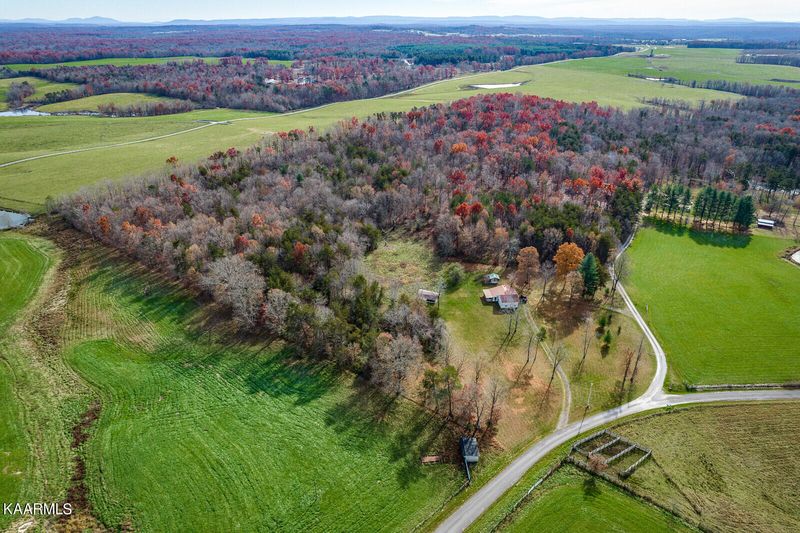 443 Brodio Rd, Deer Lodge, TN 37726