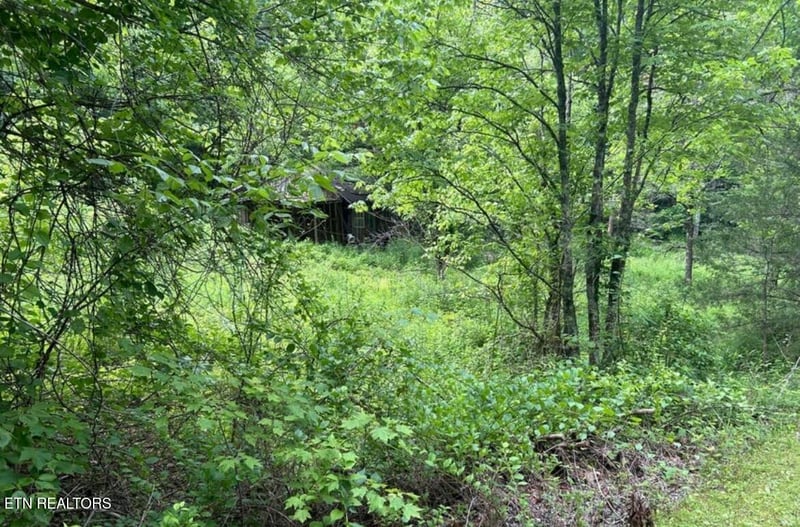 4438 Bruce Ogle Way, Pigeon Forge, TN 37863