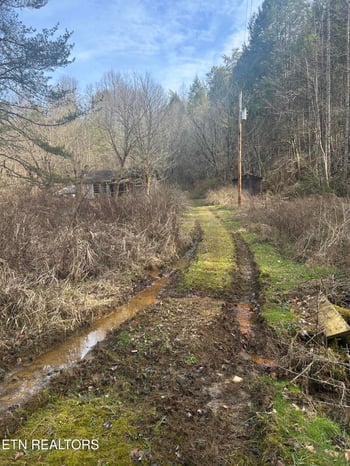 4438 Bruce Ogle Way, Pigeon Forge, TN 37863