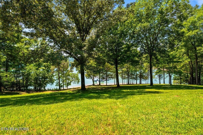 444 Chapman Village Dr, Lafollette, TN 37766