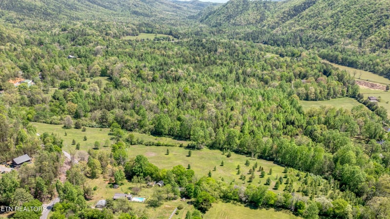 444 E Millers Cove Rd, Walland, TN 37886