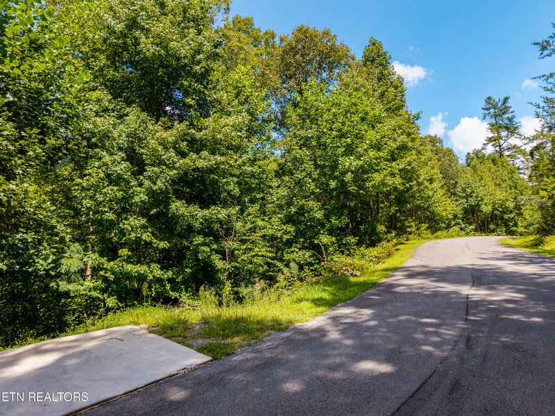 445 Chetola Tr, Townsend, TN 37882