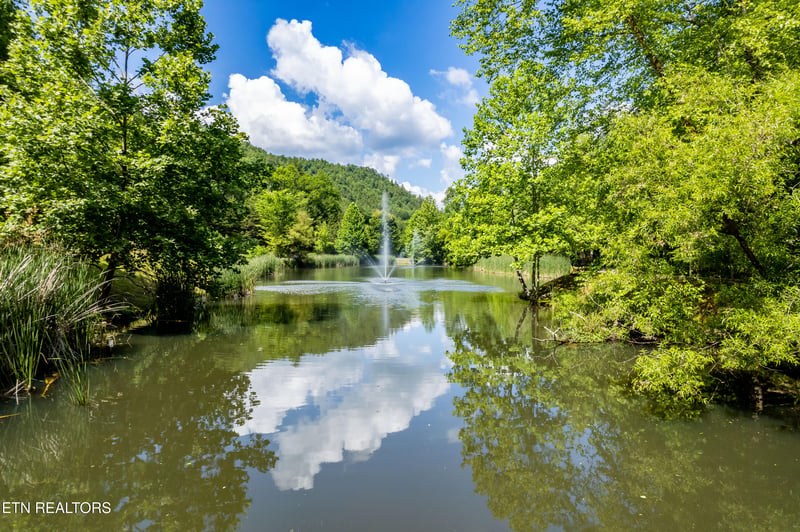 445 Chetola Tr, Townsend, TN 37882