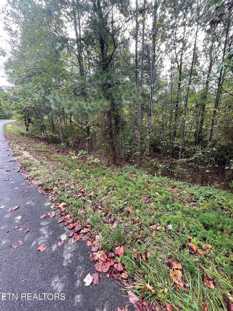 445 Hawken Dr, Walland, TN 37886