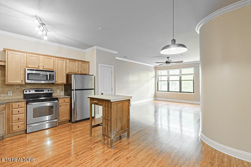 445 W Blount Ave #303, Knoxville, TN 37920
