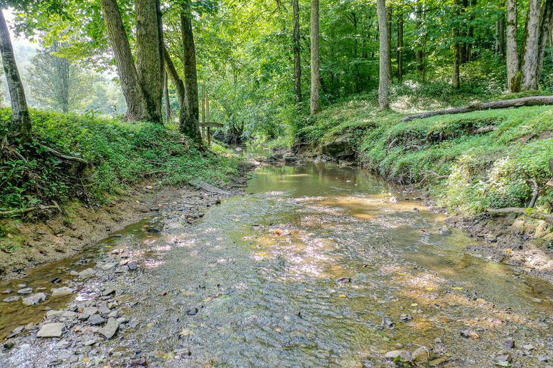 4450 Buffalo Rd, Oneida, TN 37841