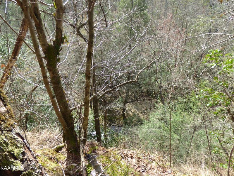 446 Huse Watson Rd, Oakdale, TN 37829