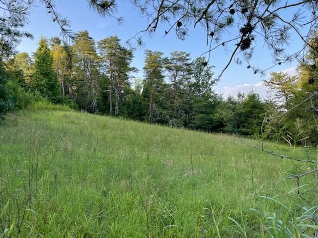 446 Unicoi Church Rd, Tellico Plains, TN 37385