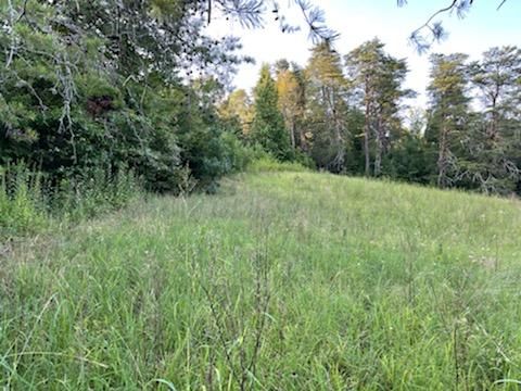 446 Unicoi Church Rd, Tellico Plains, TN 37385