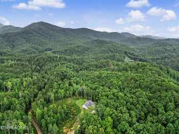 4478 Bruce Ogle Way, Pigeon Forge, TN 37863