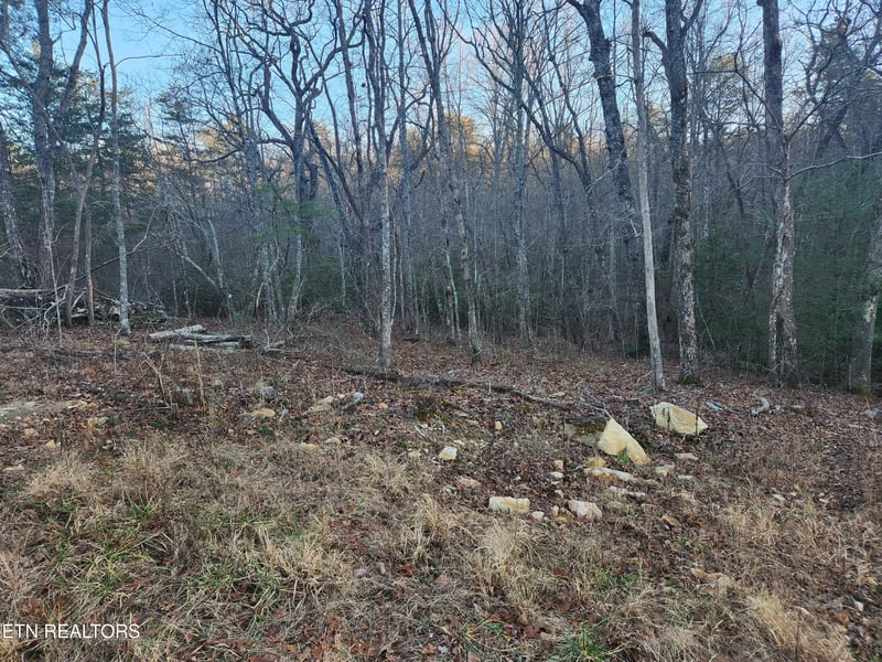 448 St George Dr, Crossville, TN 38558