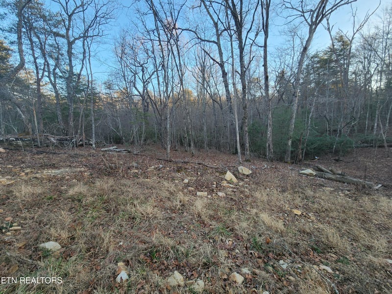 448 St George Dr, Crossville, TN 38558