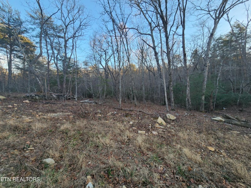 448 St George Dr, Crossville, TN 38558