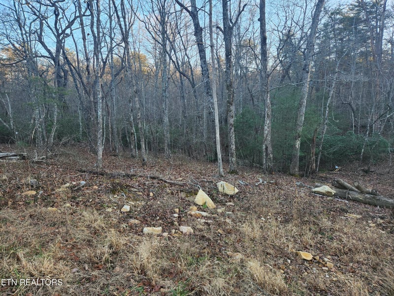 448 St George Dr, Crossville, TN 38558
