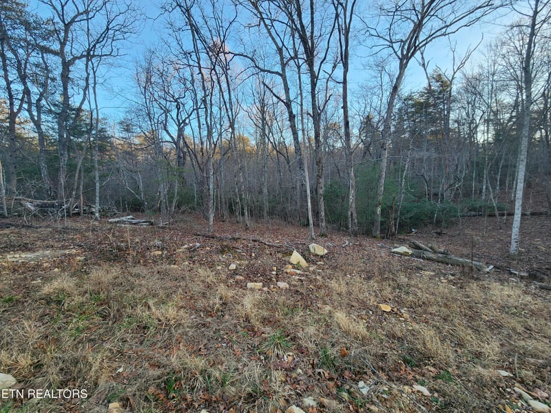 448 St George Dr, Crossville, TN 38558