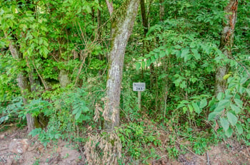 4485 Huffine Rd, Loudon, TN 37774