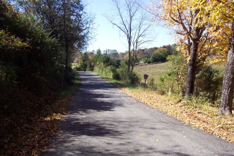 449 Co Rd 401, Madisonville, TN 37354